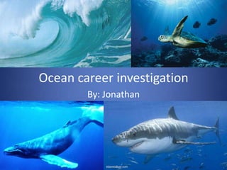 Ocean career investigation By: Jonathan 