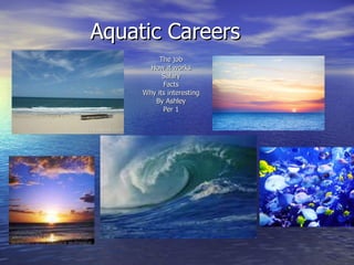 Aquatic Careers The job How it works Salary Facts Why its interesting By Ashley Per 1 