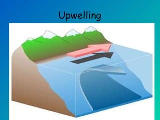 Ocean Circulation | PPT