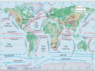 Ocean Circulation | PPT