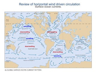 Review of horizontal wind driven circulation




   upwelling


downwelling         downwelling



      upwelling




     downwelling


                          downwelling

                           upwelling
 