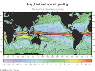 May global wind induced upwelling
 