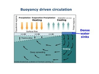 Buoyancy driven circulation

Precipitation Evaporation Precipitation   Evaporation   (cold winds)


              Heating                     Cooling



                                                                       Dense
                                                                       water
                                                                       sinks
 