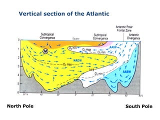 Vertical section of the Atlantic




North Pole                             South Pole
 