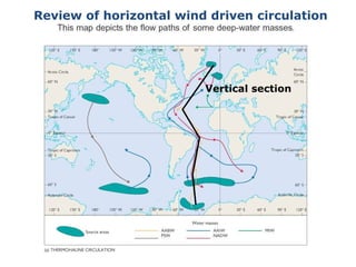 Review of horizontal wind driven circulation




                         Vertical section
 