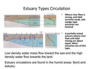 Estuary Types Circulation
                                          •   Where river flow is
                                              strong, and tidal
                                              currents weak, salt-
                                              wedge type
                                              estuaries are
                                              favored

                                          •   A partially mixed
                                              estuary where river
                                              flow and tidal
                                              mixing are about
                                              equal. Most
                                              estuaries are of this
                                              type.

Low density water mass flow toward the sea and the high
density water flow towards the land
Estuary circulations are found in the humid areas: fjiord and
estuary.
 