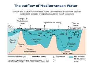 The outflow of Mediterranean Water
 