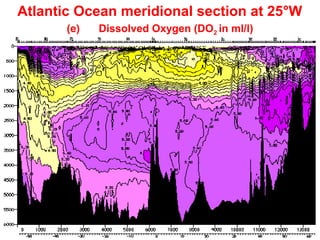 Grunt Productions 2004
Atlantic Ocean meridional section at 25°W
(e) Dissolved Oxygen (DO2 in ml/l)
 