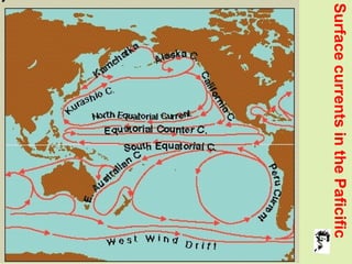 Grunt Productions 2004
SurfacecurrentsinthePaficific
 