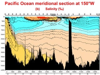 Grunt Productions 2004
Pacific Ocean meridional section at 150°W
(b) Salinity (‰)
 