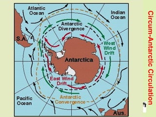 Grunt Productions 2004
Circum-AntarcticCirculation
 