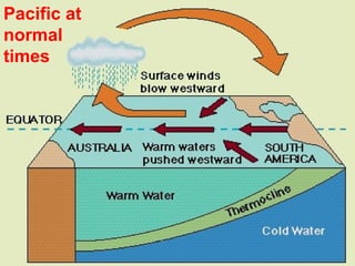 Grunt Productions 2004
Pacific at
normal
times
 