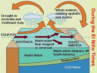 Grunt Productions 2004
DuringtheElNiñoTimes
 