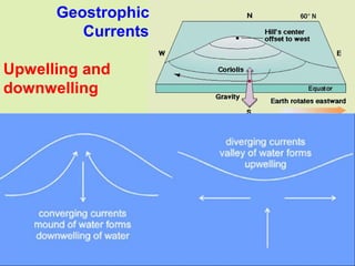 Grunt Productions 2004
Geostrophic
Currents
Upwelling and
downwelling
 