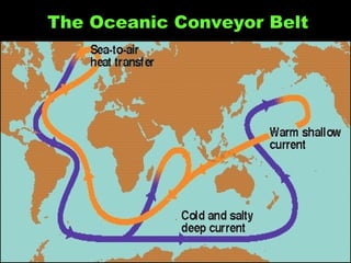 Grunt Productions 2004
The Oceanic Conveyor Belt
 