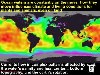 Grunt Productions 2004
Currents flow in complex patterns affected by wind,
the water's salinity and heat content, bottom
topography, and the earth's rotation.
Ocean waters are constantly on the move. How they
move influences climate and living conditions for
plants and animals, even on land.
 