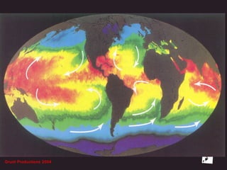 Grunt Productions 2004
 