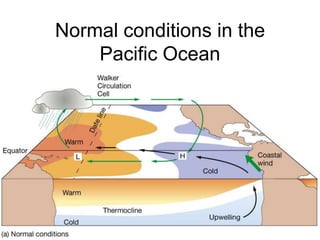 Ocean currents | PPTX