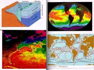 Ocean currents of the world | PPTX