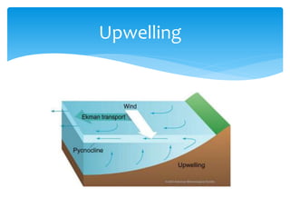Upwelling  
 