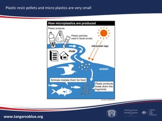 www.tangaroablue.org
Plastic resin pellets and micro plastics are very small
 