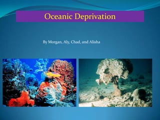 Oceanic Deprivation By Morgan, Aly, Chad, and Alisha  