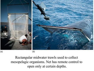Rectangular midwater trawls used to collect  mesopelagic organisms. Net has remote control to  open only at certain depths. 