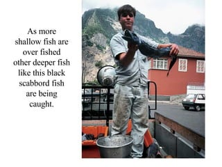 As more shallow fish are over fished other deeper fish like this black scabbord fish are being caught. 