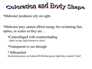 Coloration and Body Shape Midwater predators rely on sight. Midwater prey cannot afford energy for swimming fast, spines, or scales so they are… Camouflaged with countershading    (dark on top, light bottom or sides) Transparent or see through  Silhouetted  (bioluminescence on bottom) With blue-green light they control! Cool! 