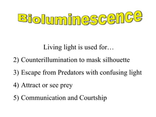 Bioluminescence Living light is used for… Counterillumination to mask silhouette Escape from Predators with confusing light Attract or see prey Communication and Courtship 