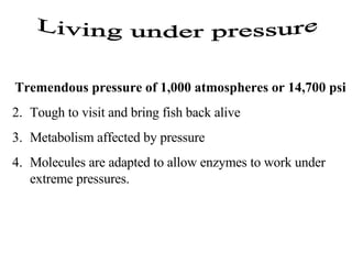 Living under pressure Tremendous pressure of 1,000 atmospheres or 14,700 psi Tough to visit and bring fish back alive Metabolism affected by pressure Molecules are adapted to allow enzymes to work under extreme pressures. 