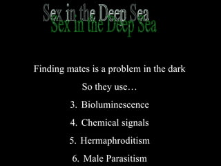 Sex in the Deep Sea Finding mates is a problem in the dark So they use… Bioluminescence Chemical signals Hermaphroditism Male Parasitism 