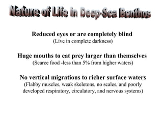 Reduced eyes or are completely blind  (Live in complete darkness) Huge mouths to eat prey larger than themselves  (Scarce food -less than 5% from higher waters) No vertical migrations to richer surface waters (Flabby muscles, weak skeletons, no scales, and poorly developed respiratory, circulatory, and nervous systems) Nature of Life in Deep-Sea Benthos 