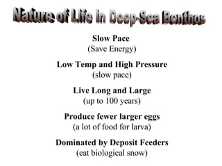 Nature of Life in Deep-Sea Benthos Slow Pace   (Save Energy) Low Temp and High Pressure (slow pace) Live Long and Large (up to 100 years) Produce fewer larger eggs (a lot of food for larva) Dominated by Deposit Feeders (eat biological snow) 