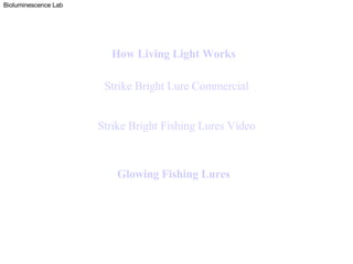 Bioluminescence Lab Glowing Fishing Lures How Living Light Works Strike Bright Fishing Lures Video Strike Bright Lure Commercial 