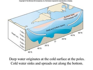 Deep water originates at the cold surface at the poles. Cold water sinks and spreads out along the bottom. 