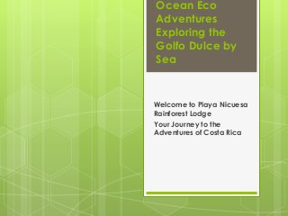 Ocean Eco
Adventures
Exploring the
Golfo Dulce by
Sea

Welcome to Playa Nicuesa
Rainforest Lodge
Your Journey to the
Adventures of Costa Rica

 