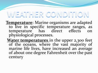 Temperature: Marine organisms are adapted 
to live in specific temperature ranges, as 
temperature has direct effects on 
physiological processes. 
Water temperatures in the upper 2,300 feet 
of the oceans, where the vast majority of 
marine life lives, have increased an average 
of about one degree Fahrenheit over the past 
century 
 