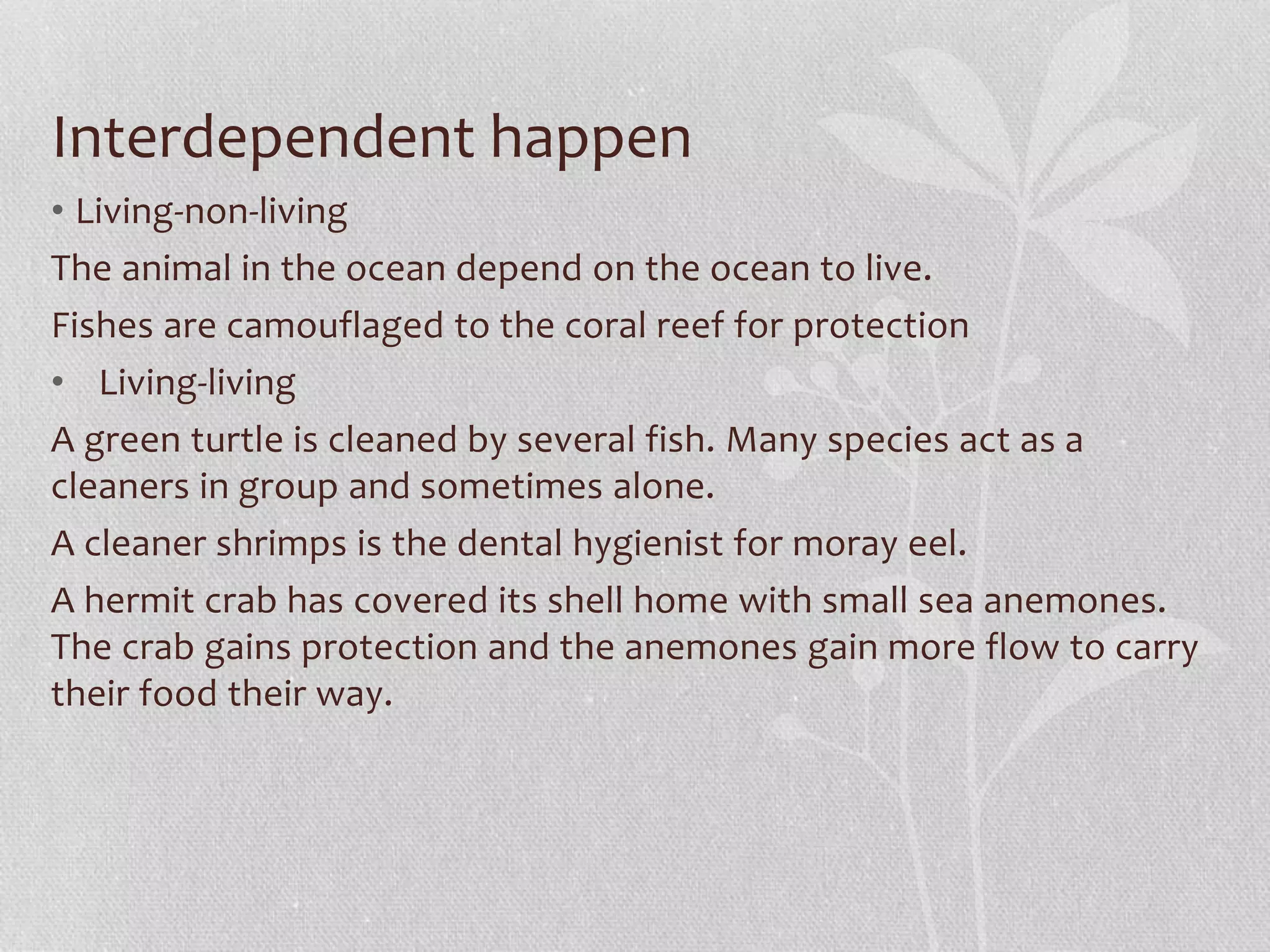 Interdependent happen 
• Living-non-living 
The animal in the ocean depend on the ocean to live. 
Fishes are camouflaged to the coral reef for protection 
• Living-living 
A green turtle is cleaned by several fish. Many species act as a 
cleaners in group and sometimes alone. 
A cleaner shrimps is the dental hygienist for moray eel. 
A hermit crab has covered its shell home with small sea anemones. 
The crab gains protection and the anemones gain more flow to carry 
their food their way. 
 