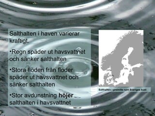 Salthalten i promille runt Sveriges kust
Salthalten i haven varierar
kraftigt.
•Regn späder ut havsvattnet
och sänker salthalten
•Stora flöden från floder
späder ut havsvattnet och
sänker salthalten
•Stor avdunstning höjer
salthalten i havsvattnet
 