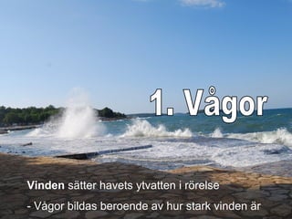 Vinden sätter havets ytvatten i rörelse
- Vågor bildas beroende av hur stark vinden är
 