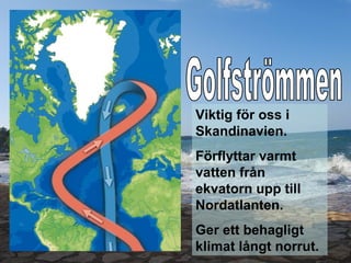 Viktig för oss i
Skandinavien.
Förflyttar varmt
vatten från
ekvatorn upp till
Nordatlanten.
Ger ett behagligt
klimat långt norrut.
 
