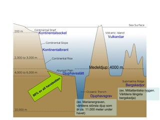 Kontinentalsockel
Kontinentalbrant
Bergskedjor
Djuphavsslätt
Djuphavsgrav
Vulkanöar
80%
av all havsbotten
Medeldjup: 4000 m.
(ex. Mittatlantiska ryggen.
Världens längsta
bergskedja)
(ex. Marianergraven,
världens största djup som
är ca. 11.000 meter under
havet)
 