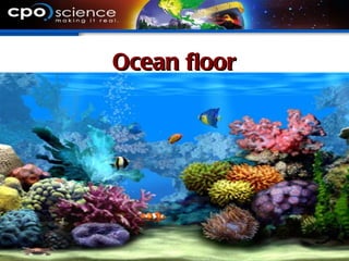 Ocean floor
 