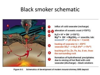 Black smoker schematic
 