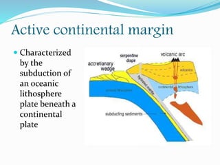 Active continental margin
 Characterized
by the
subduction of
an oceanic
lithosphere
plate beneath a
continental
plate
 
