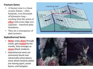 Fracture Zones
• A fracture zone is a linear
oceanic feature—often
hundreds, even thousands
of kilometers long—
resulting from the action of
offset mid-ocean ridge axis
segments – transform plate
boundaries.
• They are a consequence of
plate tectonics.
Hydrothermal Vents
• Water seeps down through
cracks, gets heated by the
mantle, then emerges as
steam (black smokers).
• Hydrothermal vents are
commonly found near
volcanically active places,
areas where tectonic plates
are moving apart, ocean
basins, and hotspots.
 