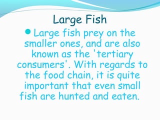 Ocean food chain | PPT