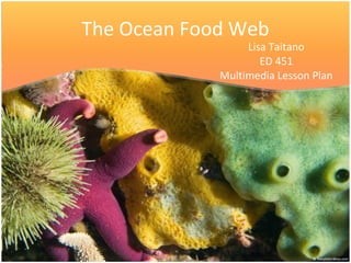 The Ocean Food Web Lisa Taitano ED 451 Multimedia Lesson Plan 