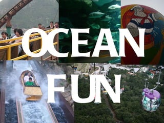 Ocean fun